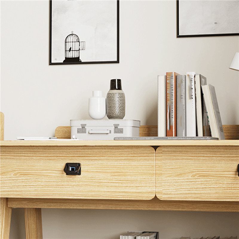 N13R-(耐久性) 3X スマート引き出し指紋ロック指紋ロ - Office Furniture Cabinets のレビューと価格